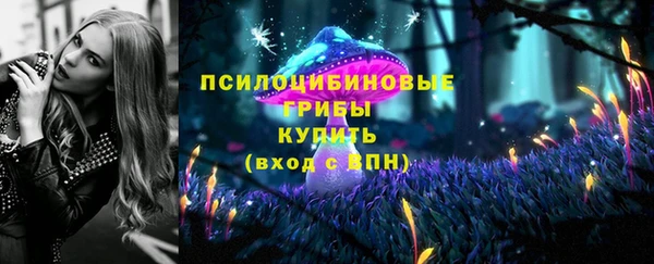 спиды Алексин