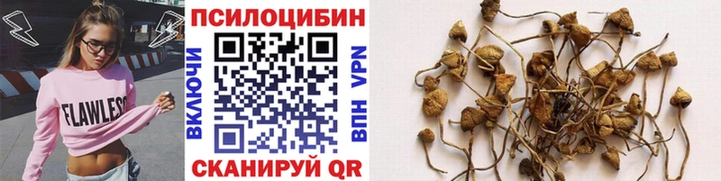 где купить наркоту  мега зеркало  Галлюциногенные грибы прущие грибы  Нягань 